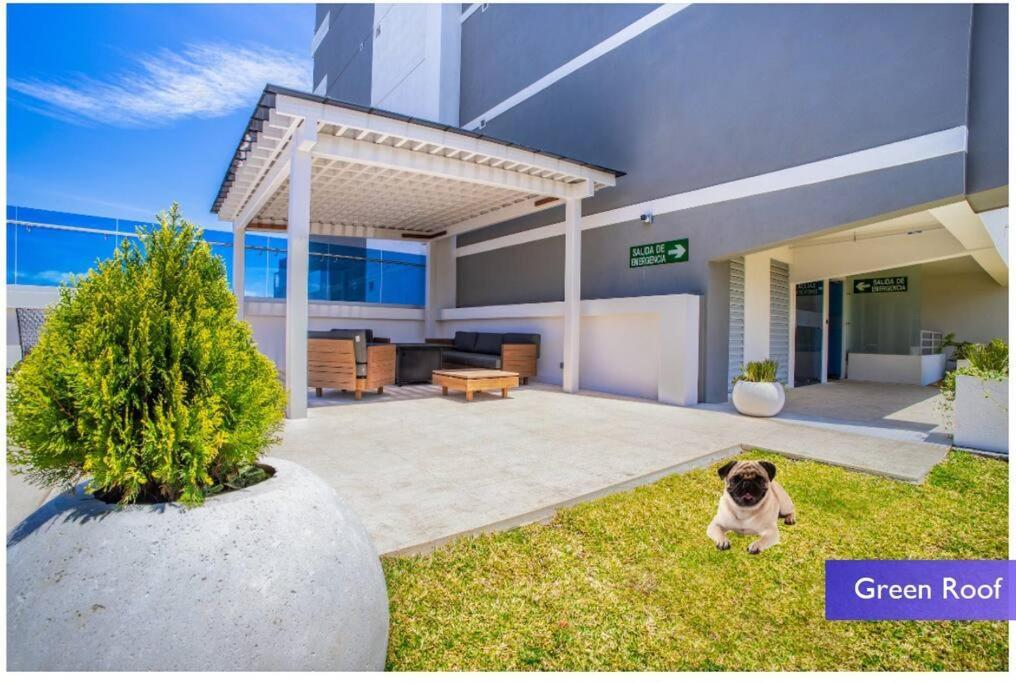 1102 Torre Los Yoses Hermoso Apartamento En Barrio Escalante Sin Parqueo San José Exteriér fotografie