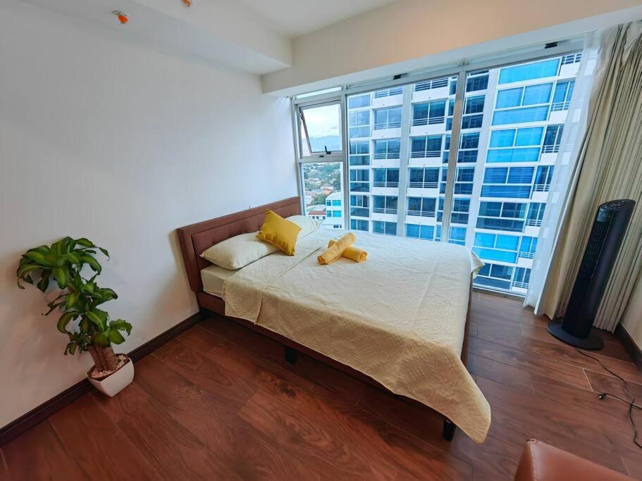 1102 Torre Los Yoses Hermoso Apartamento En Barrio Escalante Sin Parqueo San José Exteriér fotografie
